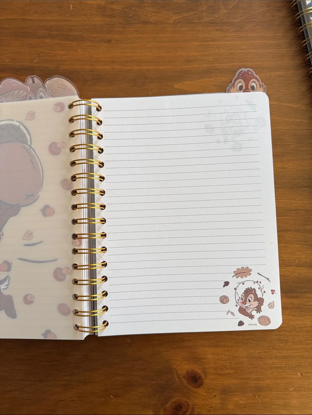 Disney Chip 'n' Dale Fall Leaf Spiral Notebook – Brown & Gold